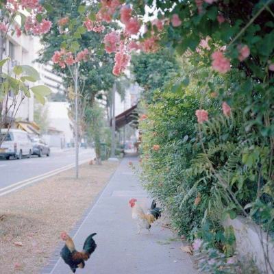 leyu·乐鱼app下载