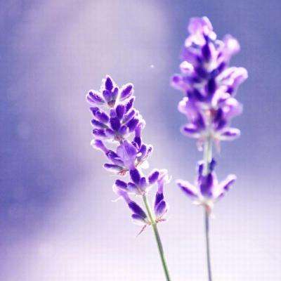 宝威体育官网app下载