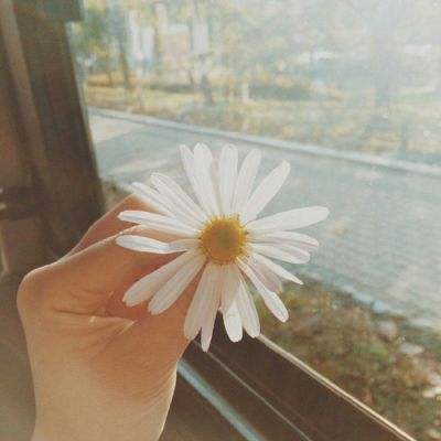 爱游戏·APP下载手机版